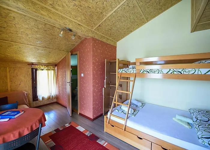 San Art Floating & Belgrade