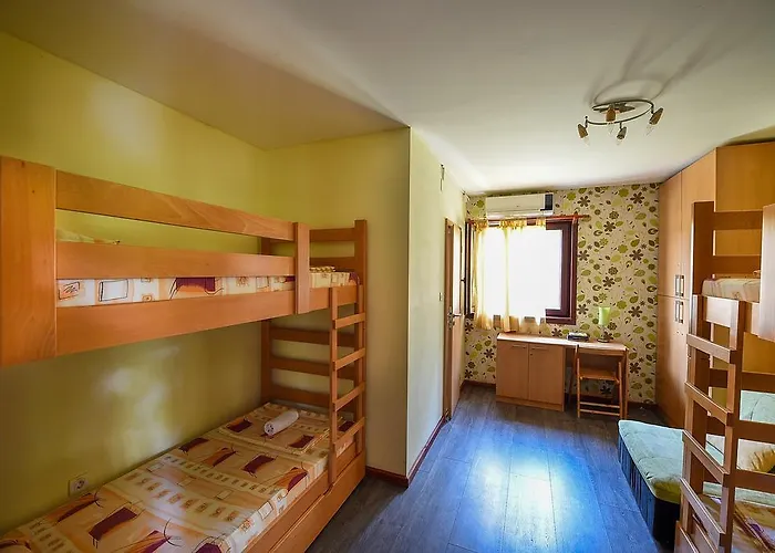 San Art Floating & Belgrade